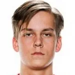 Hannes Sveijer